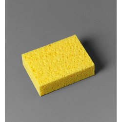 Sponges