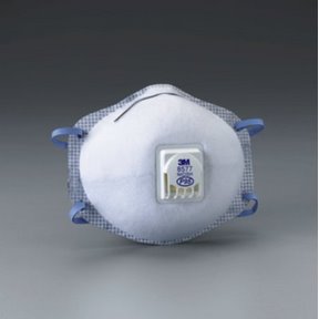Particulate Respirator P95  Nuisance Level Organic Vapor