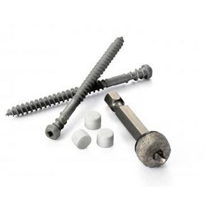 Plugs/Screws