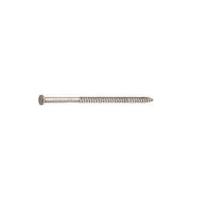 2&quot; 6d RNG 304SS SIDING BULK NL  (1LB)