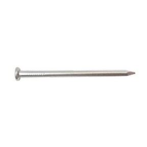 4&quot; 20D HDG COMMON NAIL (30LB)