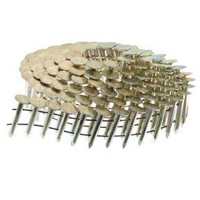1-1/4&quot;x.120 EG ROOF 15deg CL NL(7.2M)RN40 48/P