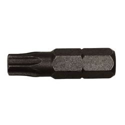 Torx Insert Bit T30 
