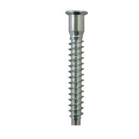 5MMx40MM POZI#2-FL FINE BLUNT  PT ZP(5M)