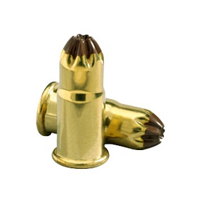 .22 CALIBER BRWN LOAD(1C)10/C