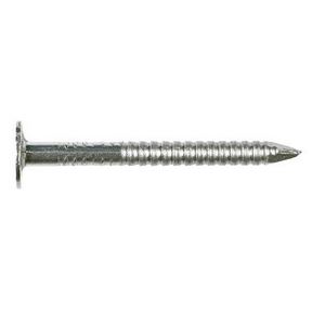 2&quot;6d(10ga) RNG 304SS ROOFING BULK NL (25LB)